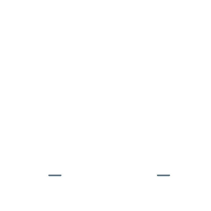 Animation